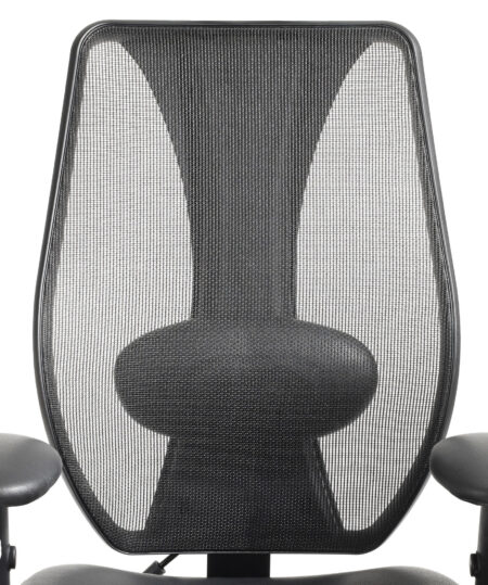 Lumbar Support