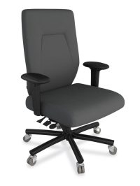 eCentric Executive Heavy Duty chair from ergoCentric. Grey. Equipped with Plus Size Multi Tilt Mechanism, Black Steel Base, Arms, and Dual Wheel Heavy Duty Casters.